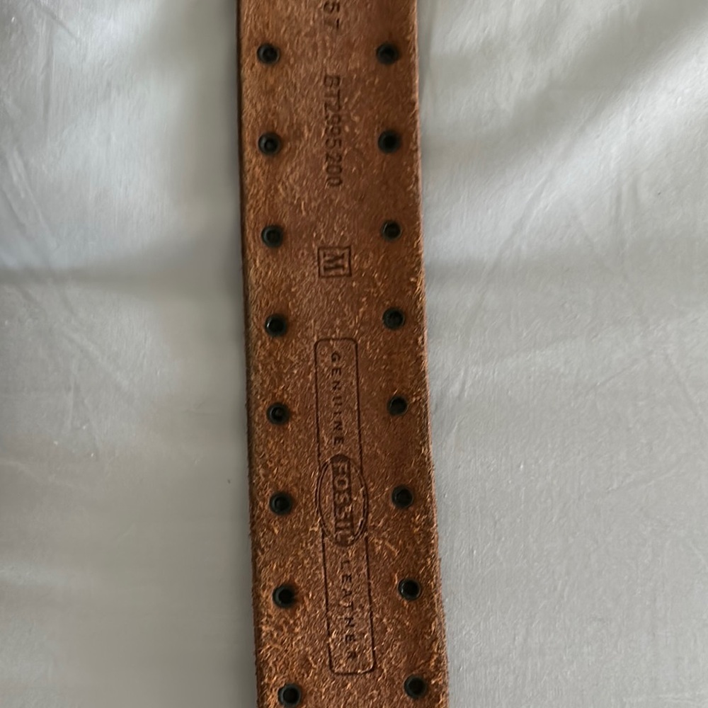2 Fossil belts . - Picture 5 of 5